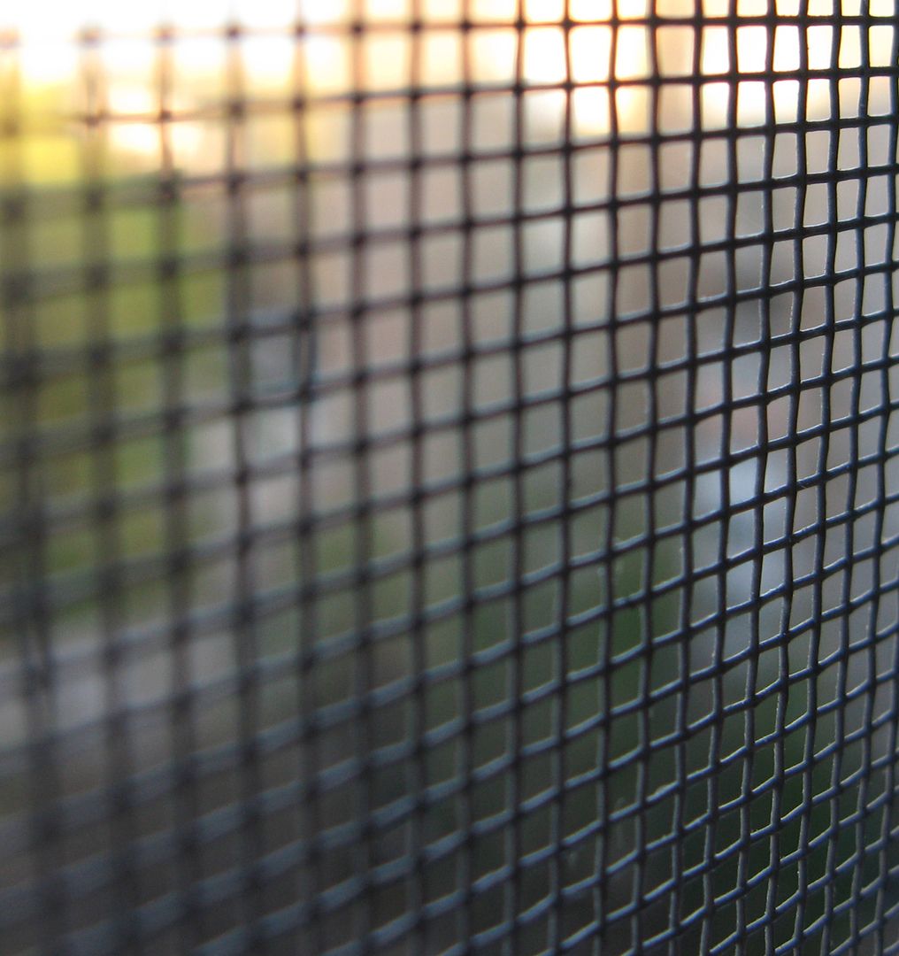 Nahansicht von einem Fliegengitter